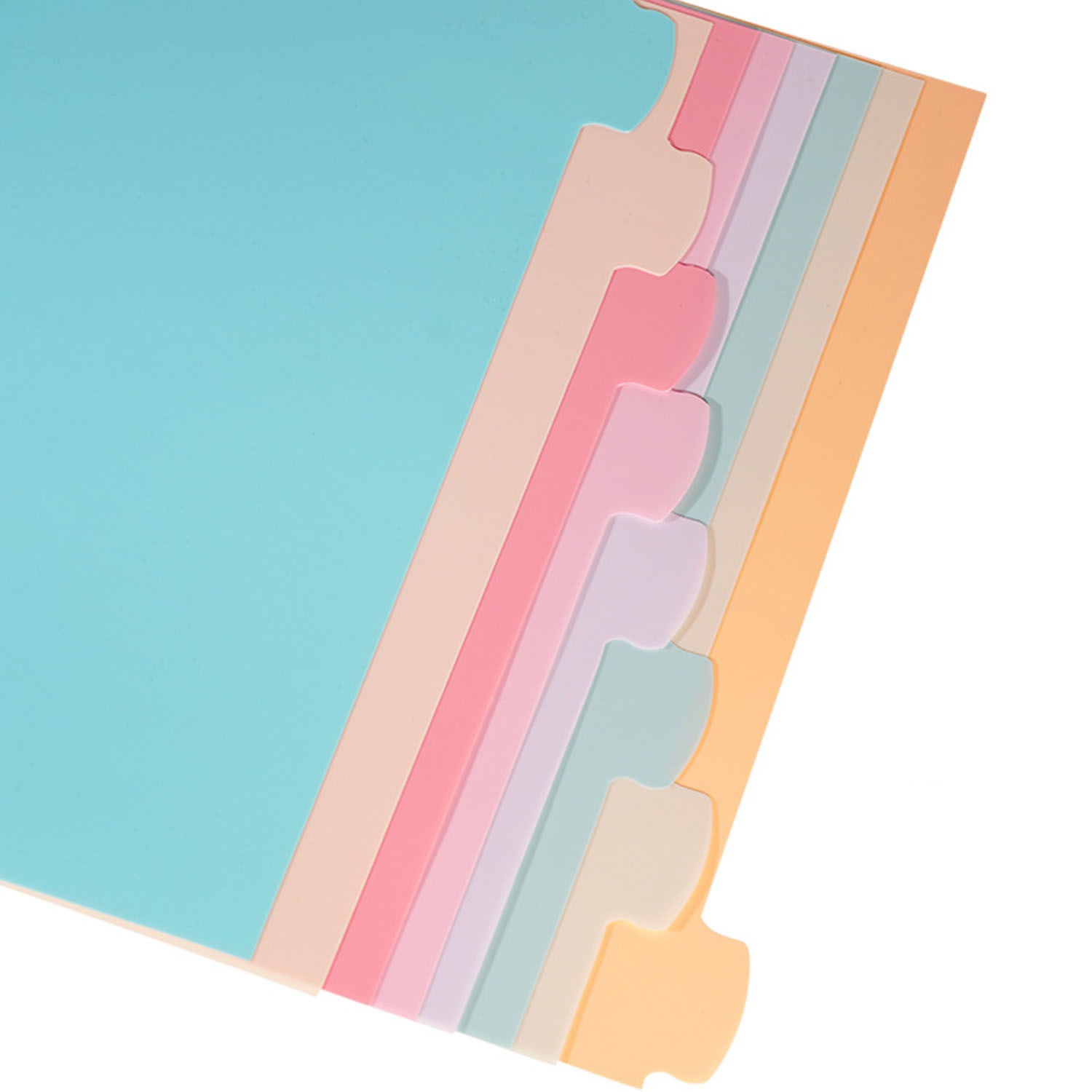 Separadores de 8 pestañas para - Index Tab Divider reseña y precio